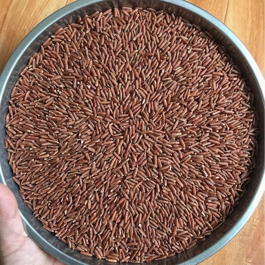 Gạo lứt